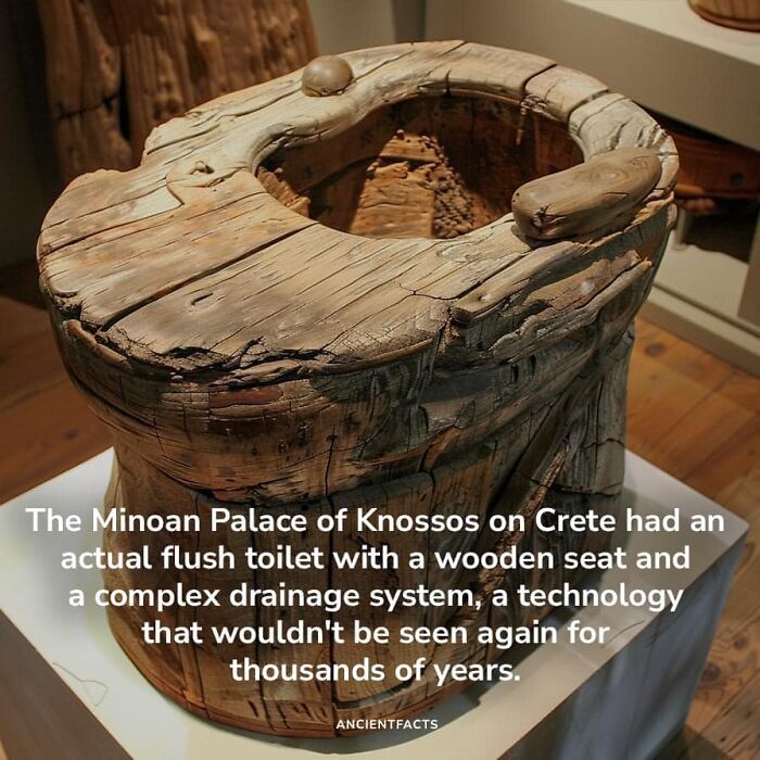 Interesting-Facts-Random