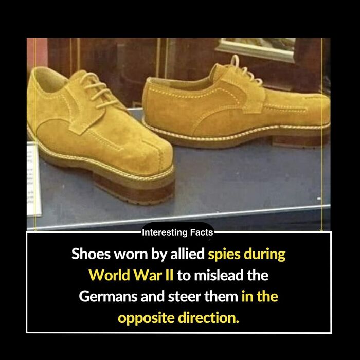 Interesting-Facts-Random