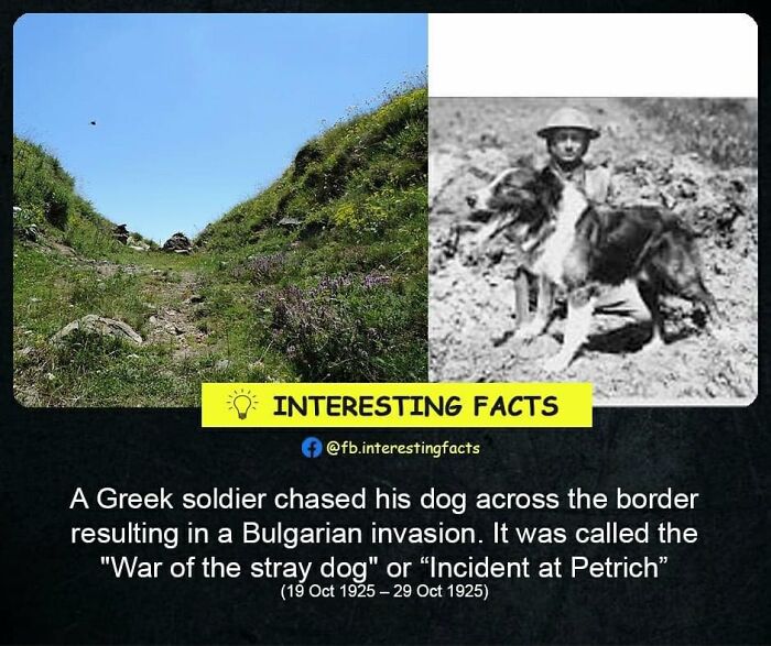 Interesting-Facts-Random