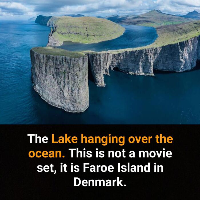 Interesting-Facts-Random