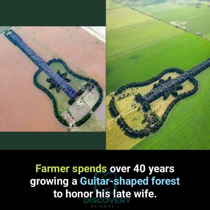 Interesting-Facts-Random