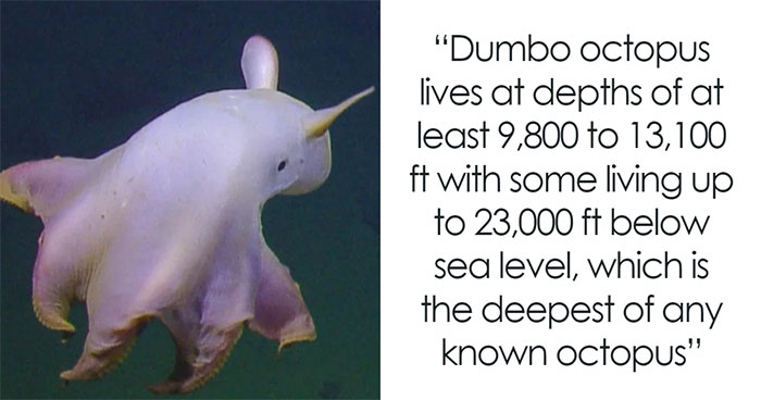 50 True Interesting Facts About Random Things, Shared By This Facebook Page