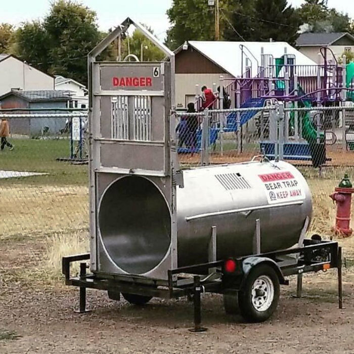 A Bear Trap At A Primary School