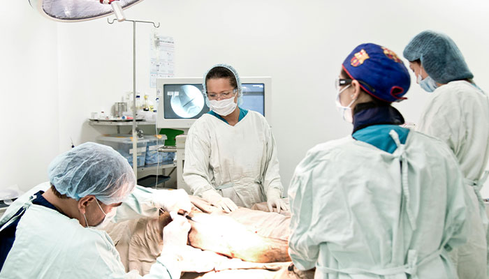 Man Horrified To Discover Surgeons Removed His Privates As Part Of A Family Feud Man Horrified To Discover Surgeons Removed His Privates As Part Of A Family Feud