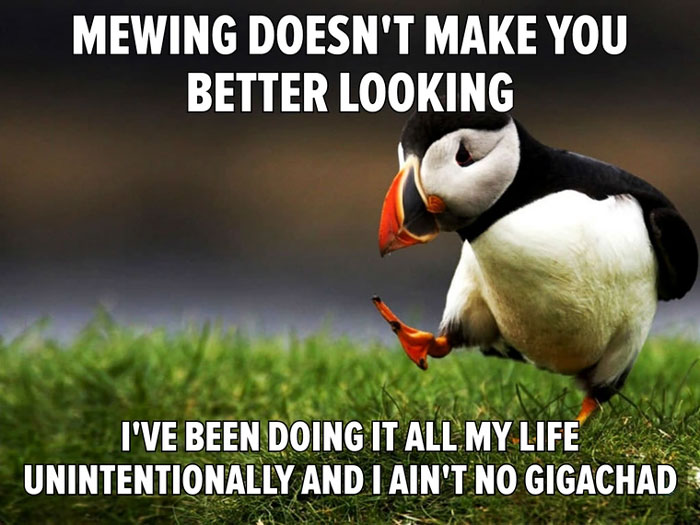 Puffin meme about mewing, a viral TikTok trend, humorously questioning its effectiveness for better looks.