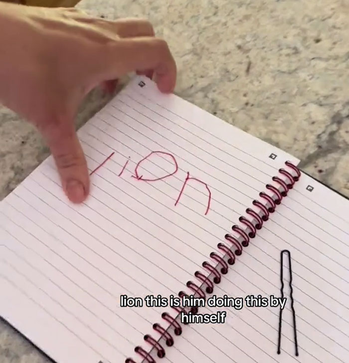 Homeschooling Mom Doesn&rsquo;t Teach Her Kids Anything They Don&rsquo;t Want, Happy To See 6YO Write &ldquo;Egg&rdquo;