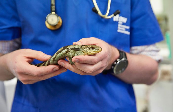 “If Salary Wasn’t A Consideration, What Is The Most Attractive Profession?” (30 Answers)