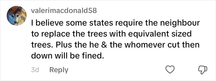Woman Looks On In Shock As Landscapers Sent By Neighbors Enter Her Yard And Chop All Her Trees Woman Looks On In Shock As Landscapers Sent By Neighbors Enter Her Yard And Chop All Her Trees