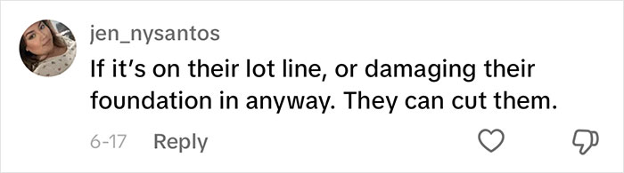 Woman Looks On In Shock As Landscapers Sent By Neighbors Enter Her Yard And Chop All Her Trees Woman Looks On In Shock As Landscapers Sent By Neighbors Enter Her Yard And Chop All Her Trees