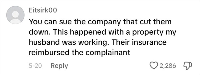 Woman Looks On In Shock As Landscapers Sent By Neighbors Enter Her Yard And Chop All Her Trees Woman Looks On In Shock As Landscapers Sent By Neighbors Enter Her Yard And Chop All Her Trees
