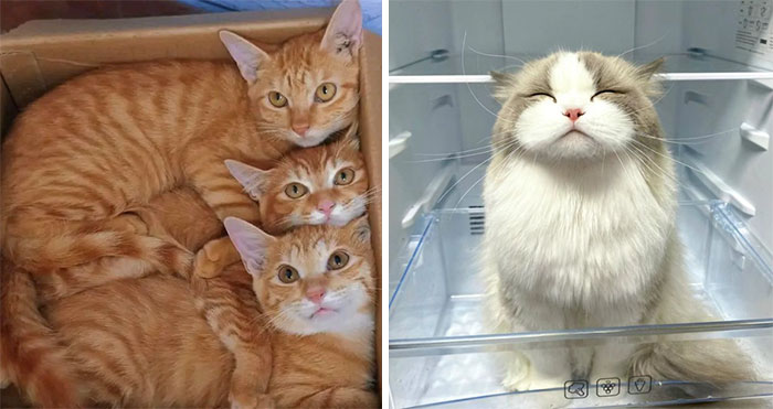 50 New Pics From The “Out Of Context” X Page To Brighten Up Your Day