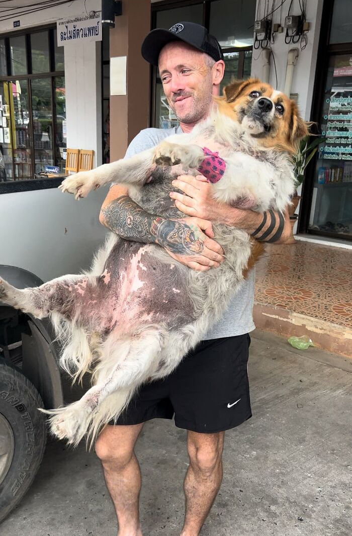 Obese Dog Given Second Chance At Life After Being Rescued From Streets, Undergoes Massive Transformation