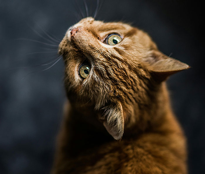 "Get A Lower-Paying Job": 40 Times People Gave Ultimatums That Didn't Work Out For Them