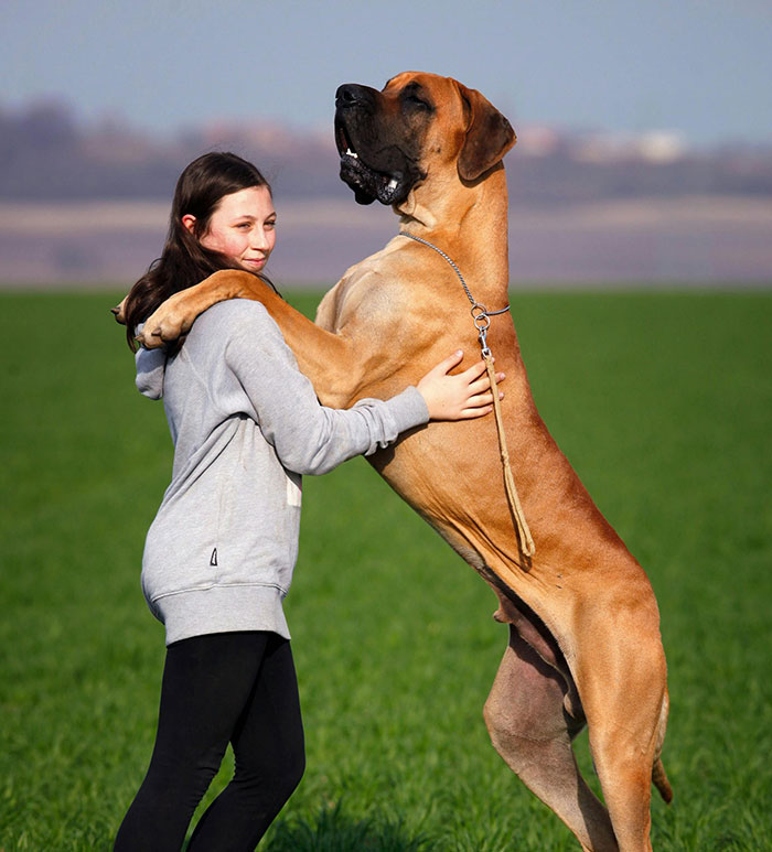 "Get A Lower-Paying Job": 40 Times People Gave Ultimatums That Didn't Work Out For Them