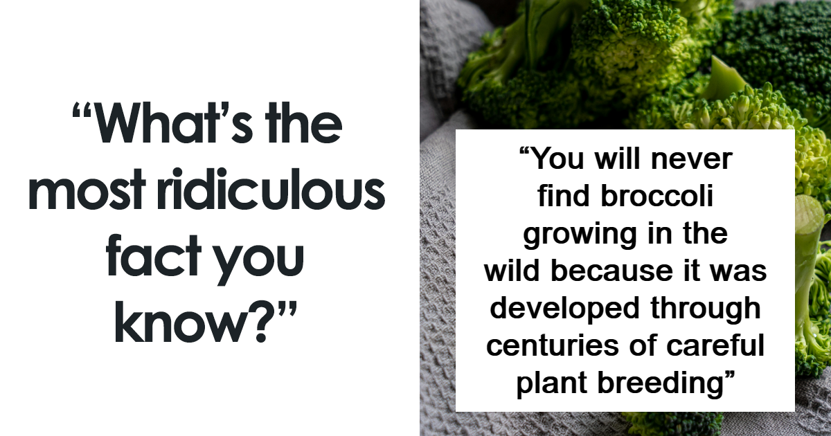 Hard To Believe: 59 Of The Most Ridiculous Facts People Actually Know