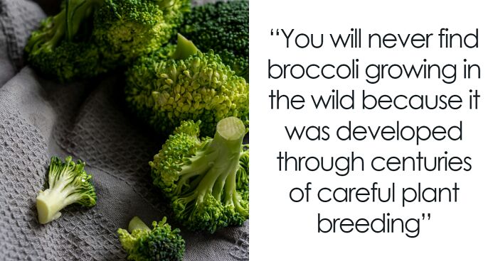 “Your Brain Just Ignores It”: 50 People Share The Most Ridiculous Fact They Know