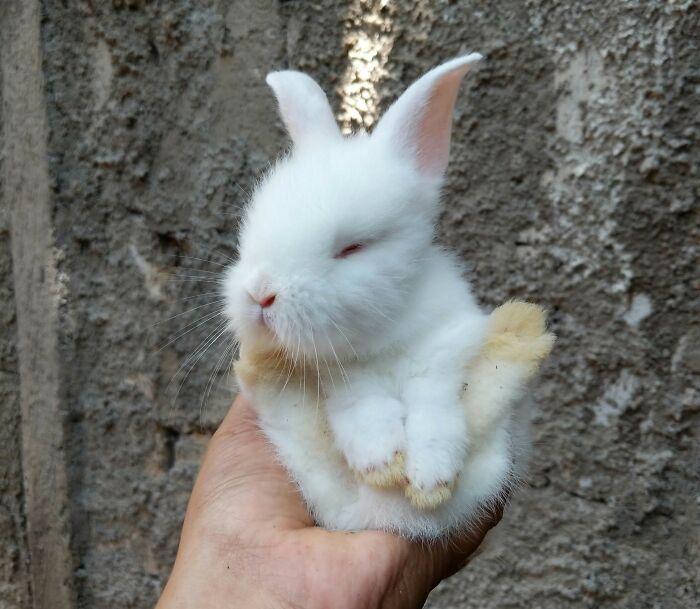 “If Salary Wasn’t A Consideration, What Is The Most Attractive Profession?” (30 Answers)