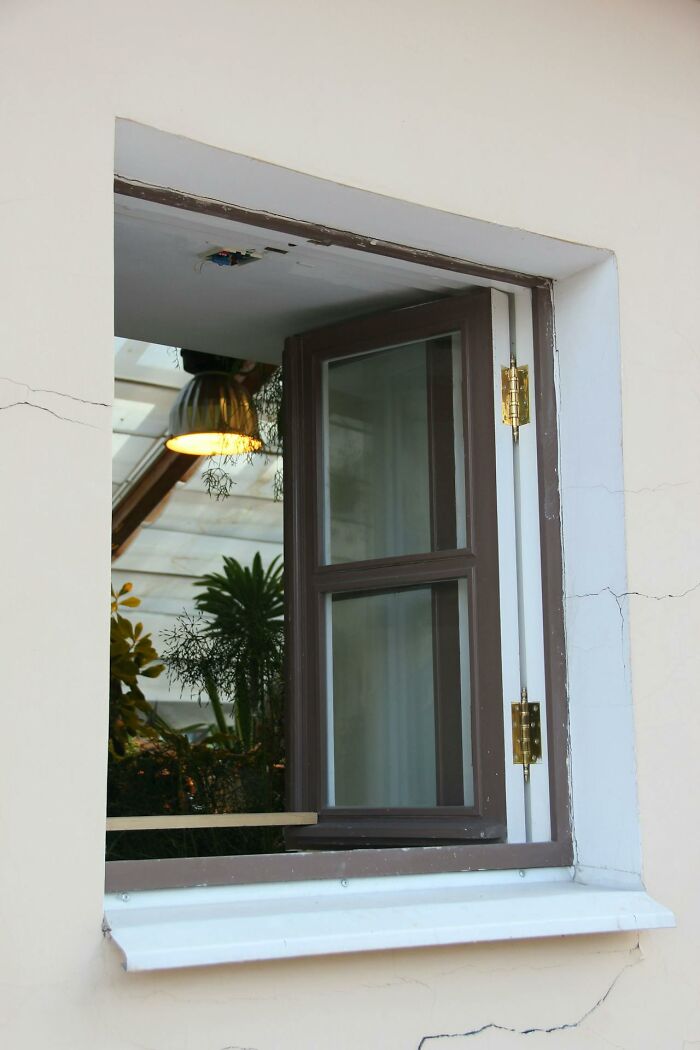 Open window reflecting interior plants, embodying dad humor.