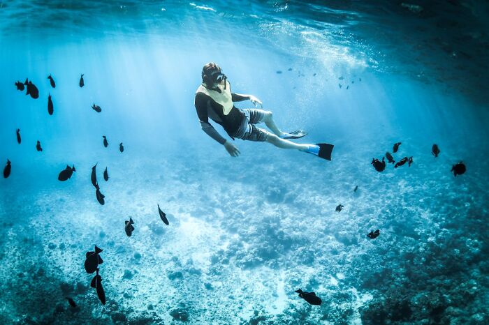 A snorkeler surrounded by fish underwater, experiencing a vacation that turned into a frightening story.