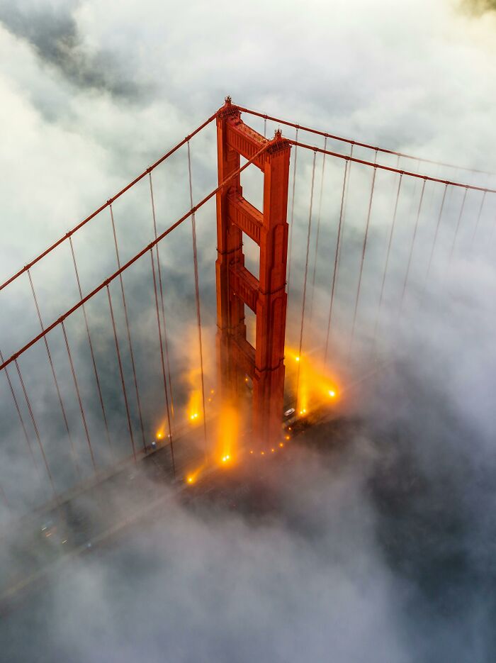 Amy Appelhans Gubser Completed A 17-Hour Swimming Journey Through Cold, Shark-Inhabited Waters