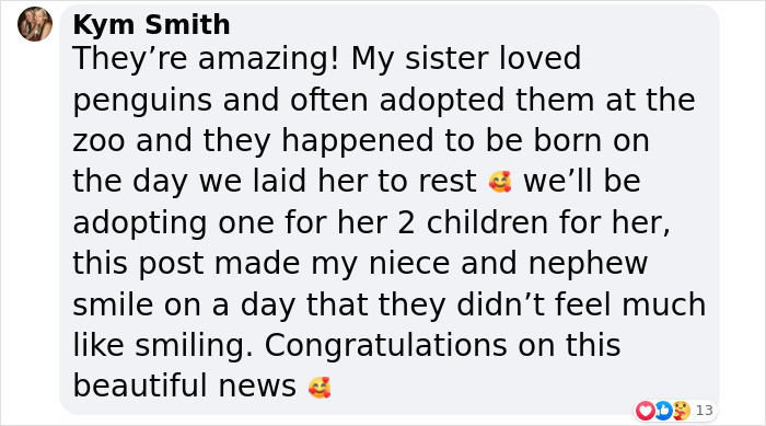 11 Adorable Humboldt Penguin Chicks Are Melting Hearts All Over The Internet