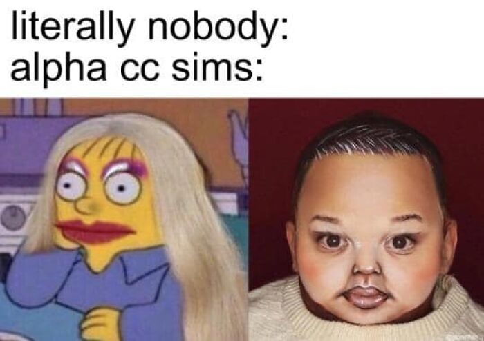 Funny-The-Sims-Memes