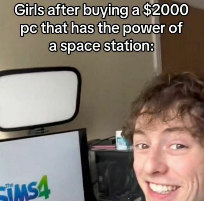 Funny-The-Sims-Memes