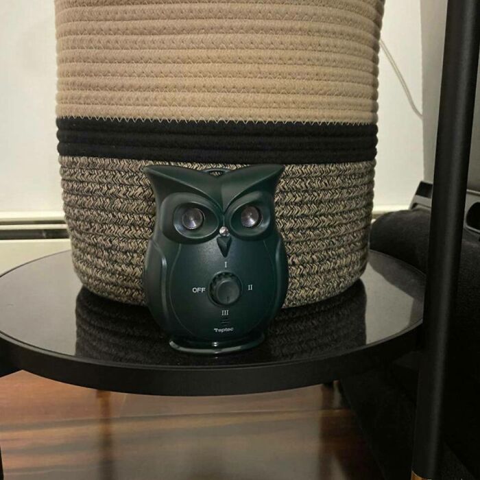 Train Your Pup To Be A Quiet Neighbor With The Dog Barking Control Device