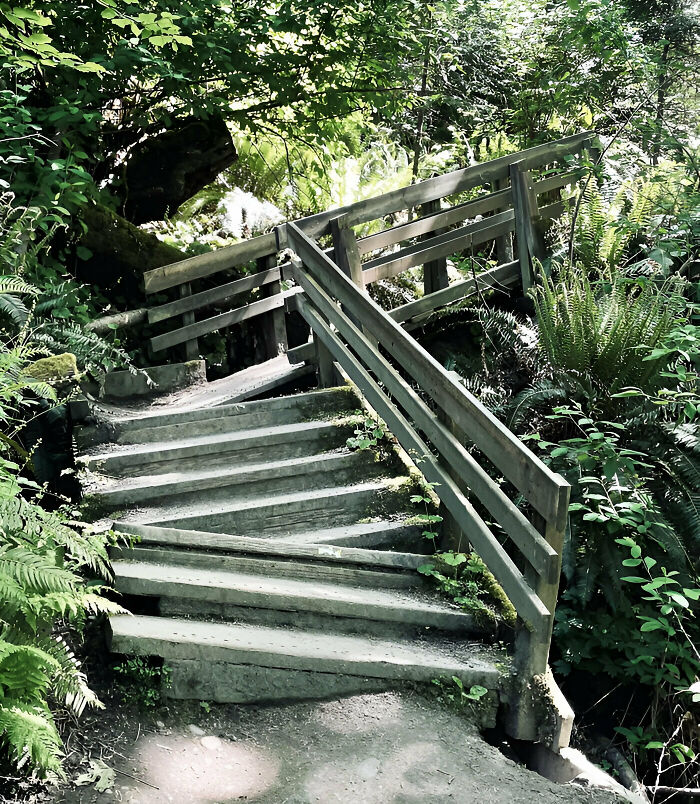 Discovery Park, Seattle. The Top Half Is A Ramp