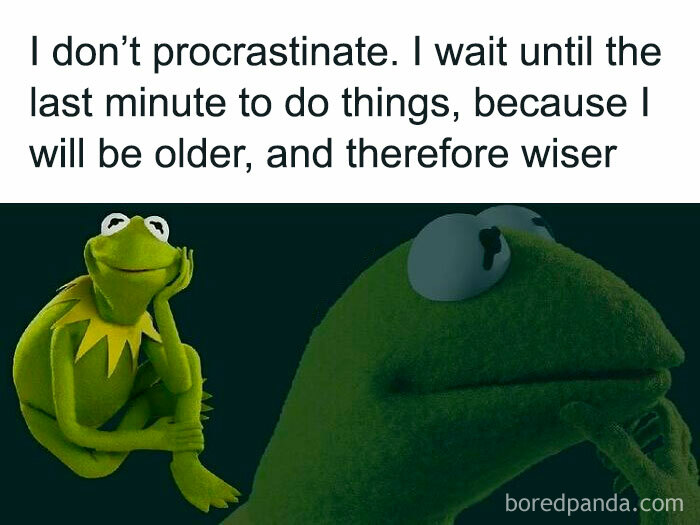 Kermit meme about procrastinating until wiser, contemplating thoughtfully.