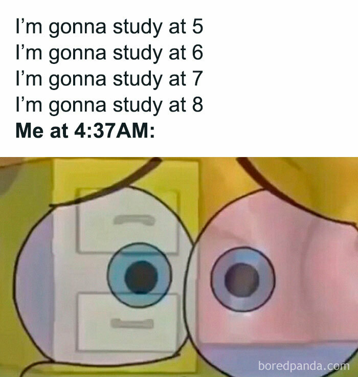 Procrastination meme with a cartoon character wide awake at 4:37 AM, after planning to study earlier.