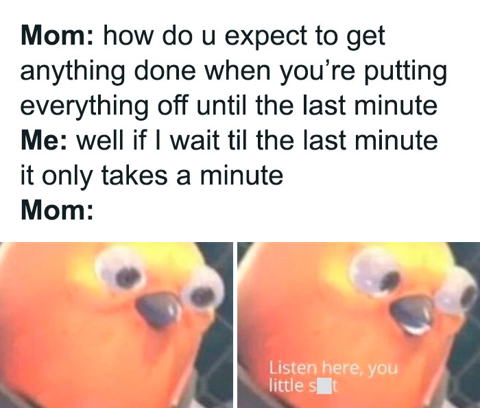 Procrastination meme featuring a googly-eyed bird reacting humorously to a conversation about last-minute tasks.