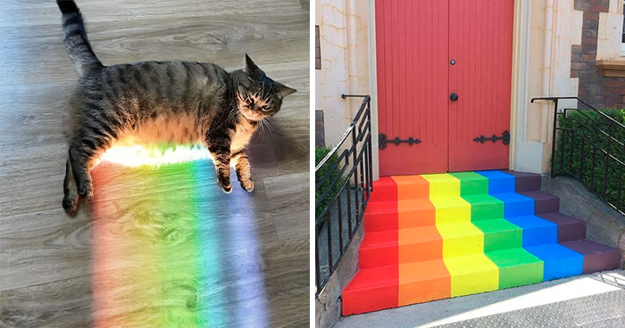 50 Amazing “Rainbow Everything” Pics Right In Time To Celebrate Pride Month