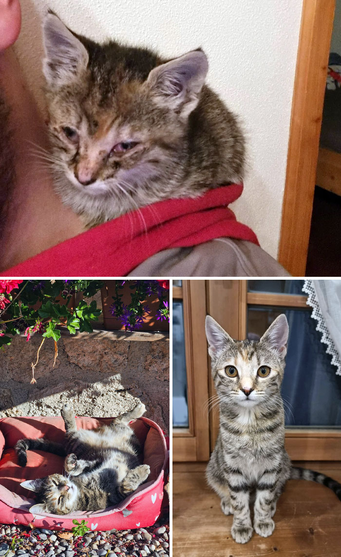 Schnurri's Before And After