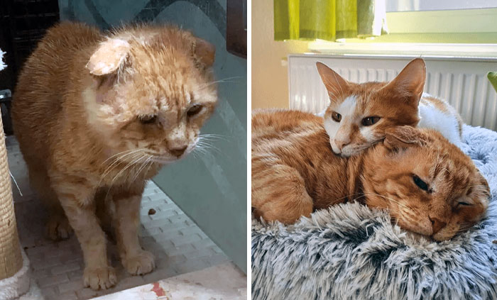 From Shivering And Scared To Now Being Loved And Comfortable