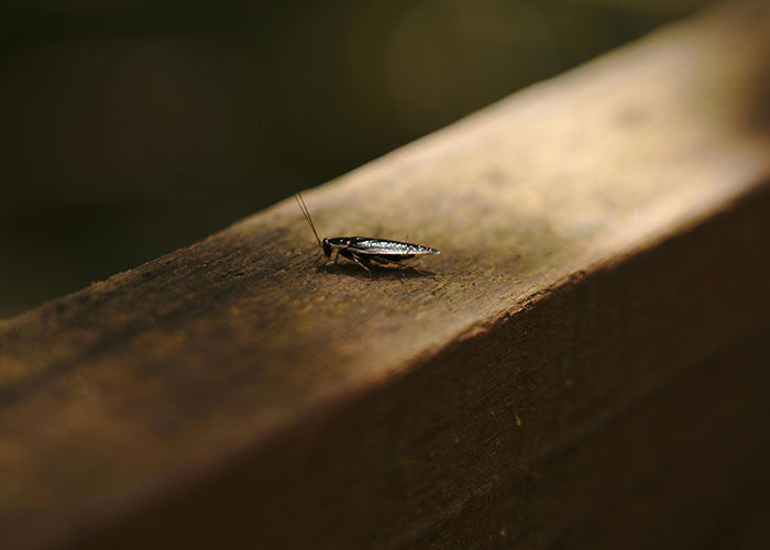 37 Red Flags Indicating You Should Immediately Leave The Restaurant