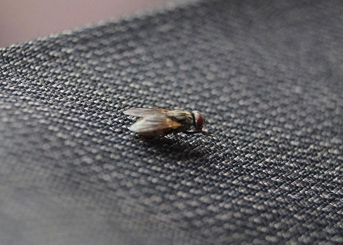 37 Red Flags Indicating You Should Immediately Leave The Restaurant