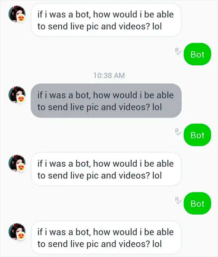 The Person Who Definitely Wasn't Talking With A Bot