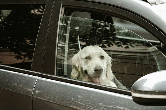 “I'm Grateful That I Woke Up Blind”: 30 Secrets People Are Keeping To Themselves