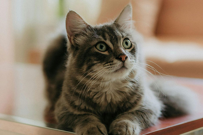 “I'm Grateful That I Woke Up Blind”: 30 Secrets People Are Keeping To Themselves