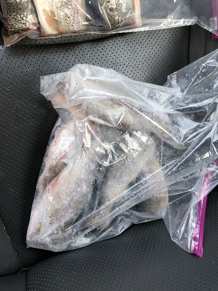 “I Have Never Felt Worse For A Human Being In My Life”: Taxi Drivers Share The Craziest Stories