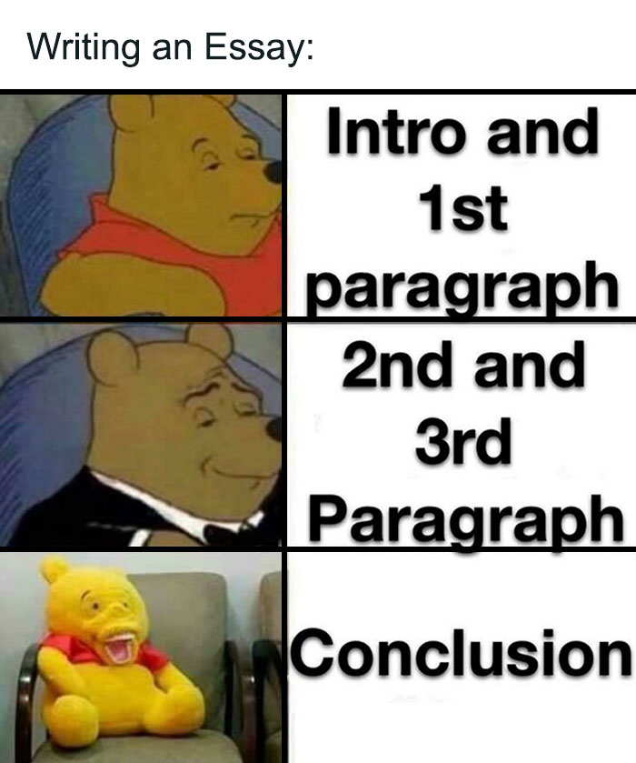 Funny meme of a bear with varied expressions for essay sections: intro, body, and conclusion.