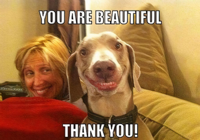 A dog smiling next to a woman with the text 'You Are Beautiful! Thank You!'
