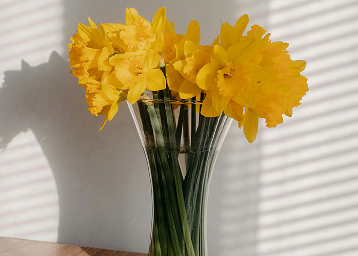 “Friend Died Aged 32”: 50 Everyday Things Most People Don’t Realize Are Deadly