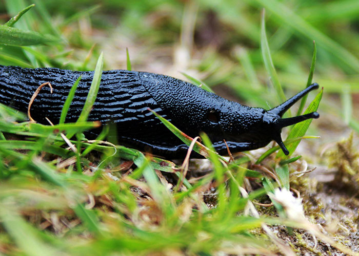 “Friend Died Aged 32”: 50 Everyday Things Most People Don’t Realize Are Deadly