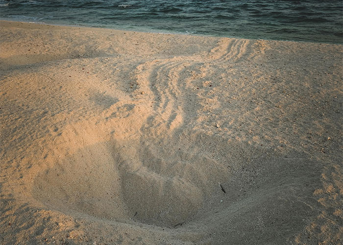 Large deep hole in sandy beach near water illustrating dangerous everyday hazards many don’t realize are deadly.