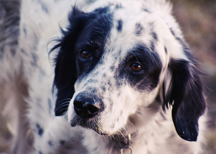 “Instant Nope”: 30 Moments Where People Lost Interest In Their Crush