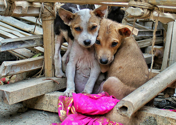 “Instant Nope”: 30 Moments Where People Lost Interest In Their Crush