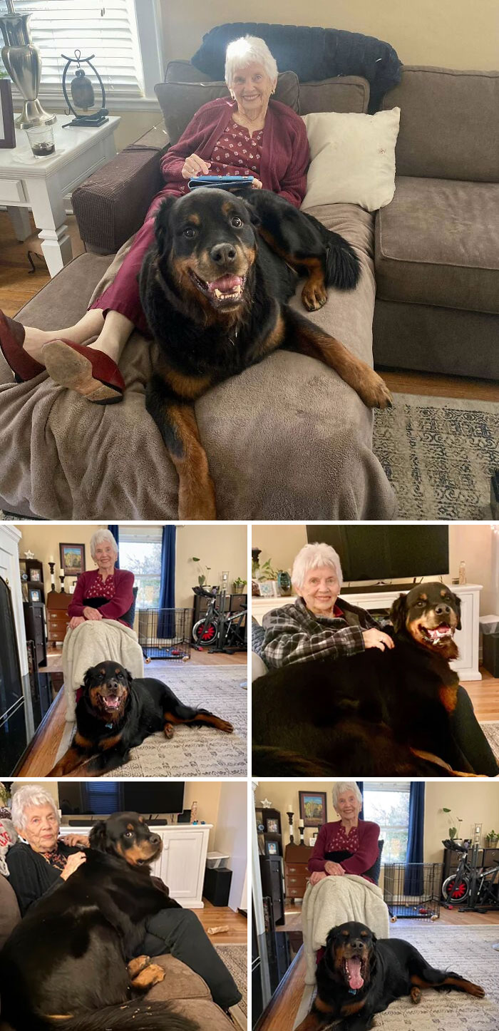 Gus 100% Believes Grammy’s Visits Are For Him. He’s Not Wrong