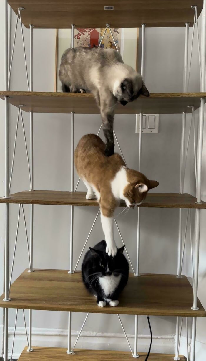 I’m So Proud Of Them For This